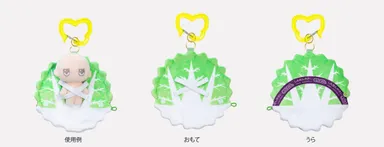 はくさい：広げた状態の使用例・おもて・うら