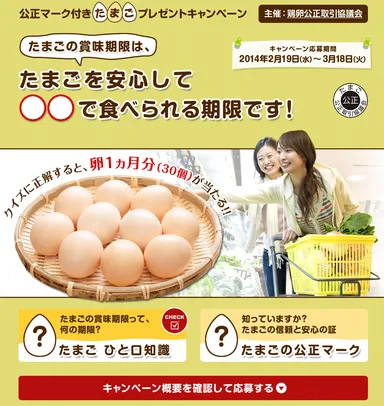 キャンペーンページ