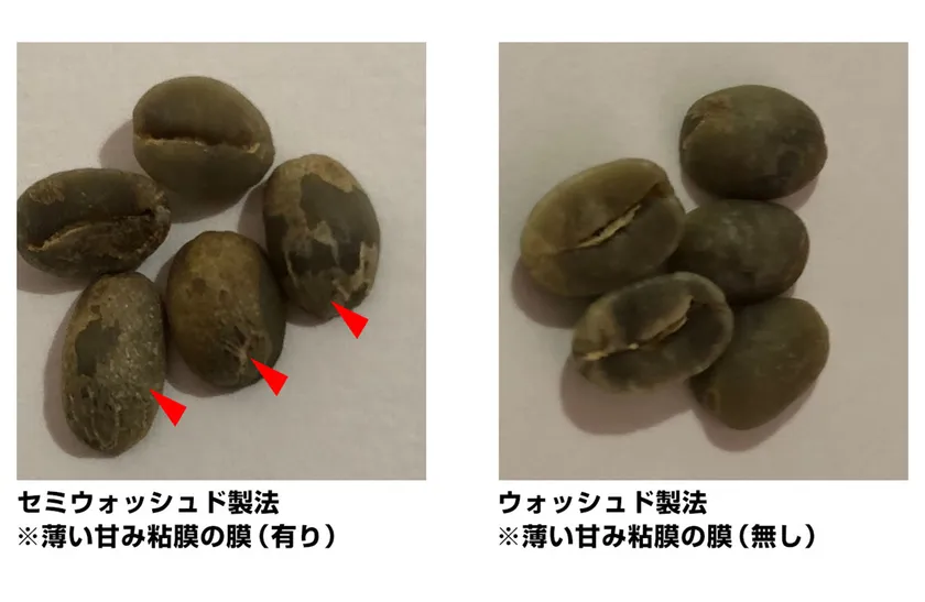 セミウォッシュド製法