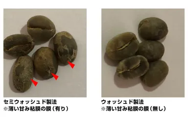 セミウォッシュド製法