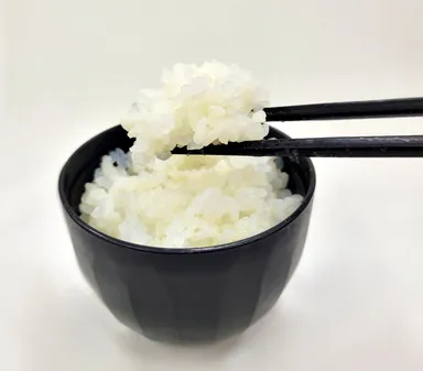 オリジナル炊き込みこんにゃく入りご飯