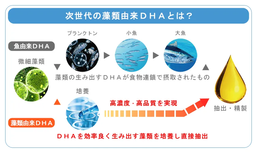 次世代の藻類由来DHAとは