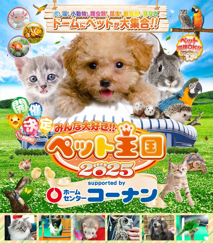 メインビジュアル