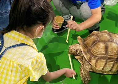 えさやりコーナー