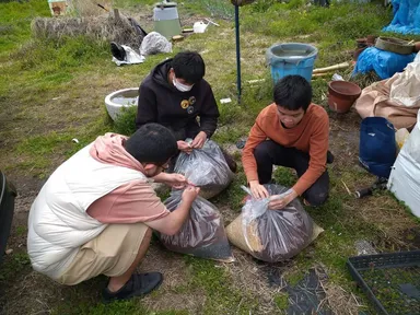 ダンボールコンポスト作成