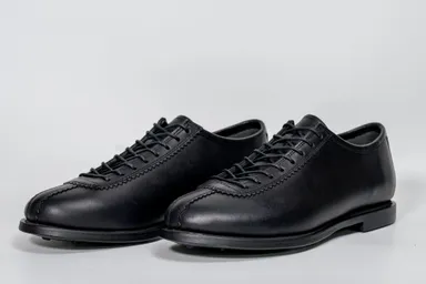 LSパースビュー