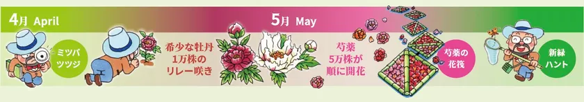 2025年の開花スケジュール