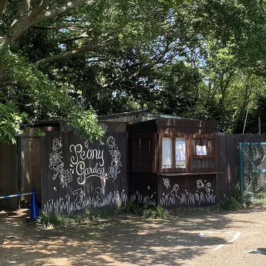 好評のフォトウォール