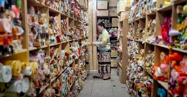 ファブリックジョッキー・イワミズアサコ