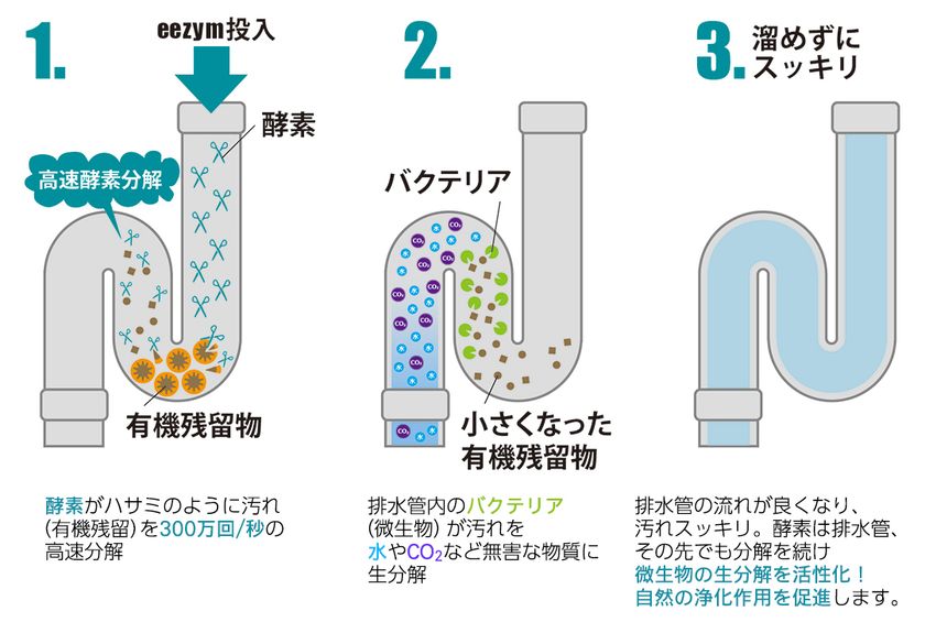 酵素の力で排水管スッキリ