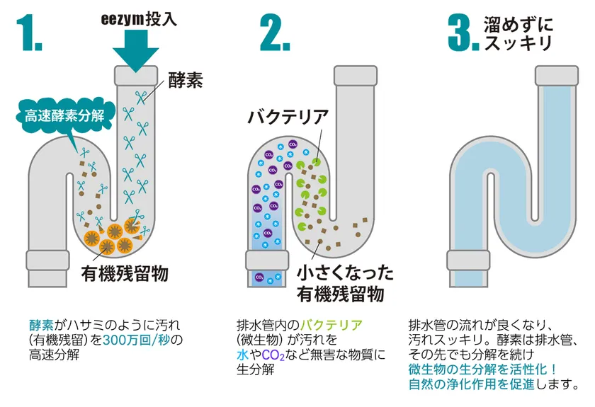 酵素の力で排水管スッキリ