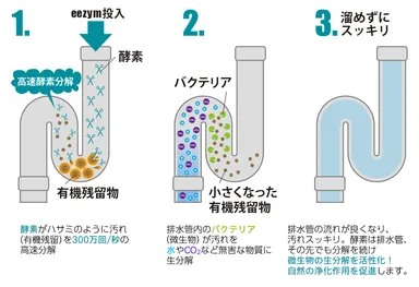 酵素の力で排水管スッキリ