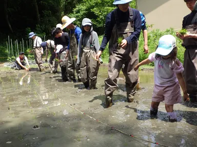 棚田の整備活動