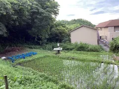 キャンパス内に整備された棚田風景(登録面積：1.38ha)