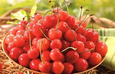 さくらんぼ　イメージ(2)