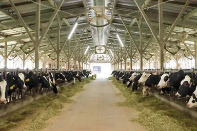 牧場　イメージ