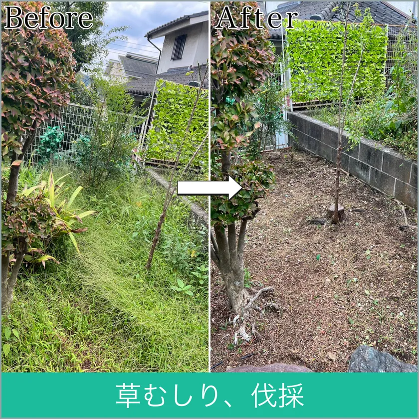 便利屋「岩美」 伐採の様子