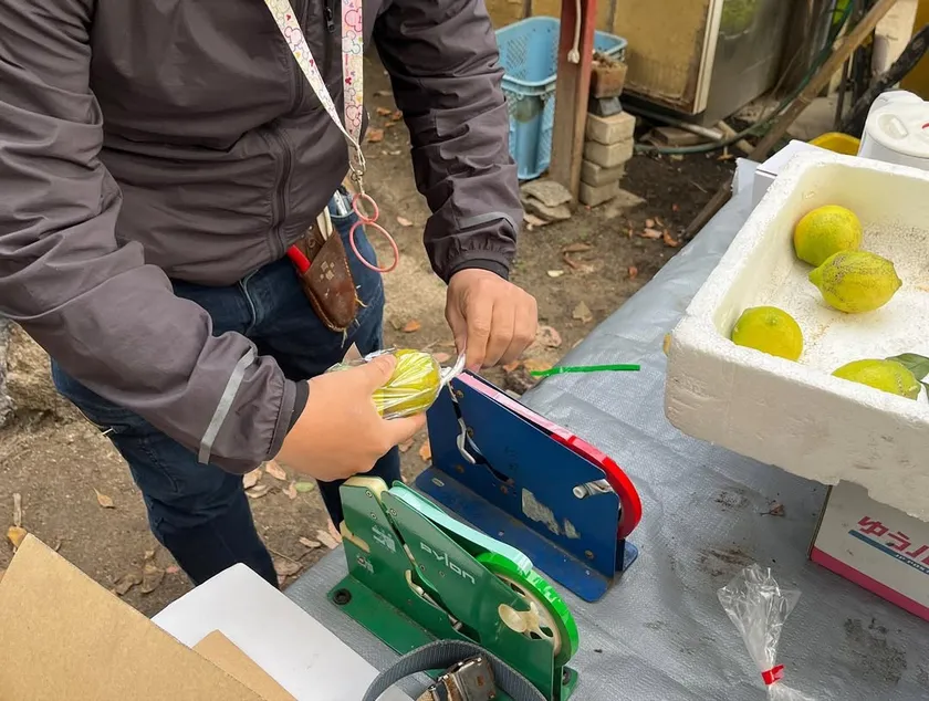 収穫し販売まで実践で学びます