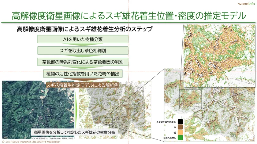 高解像度衛星画像による雄花密度マップ