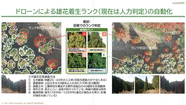 ドローンによる花粉雄花着生レベルの自動化