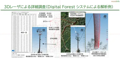 ハンディレーザによる樹木解析システム_Digital Forestの解析例