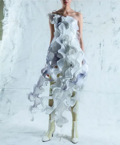 理化学研究所とのコラボによるAIドレス(2)