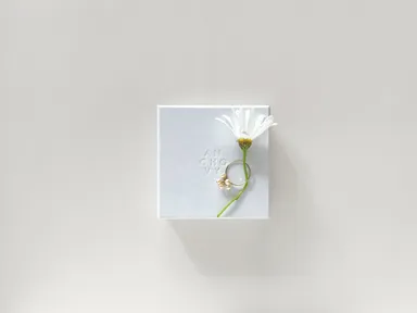 ギフトにも最適