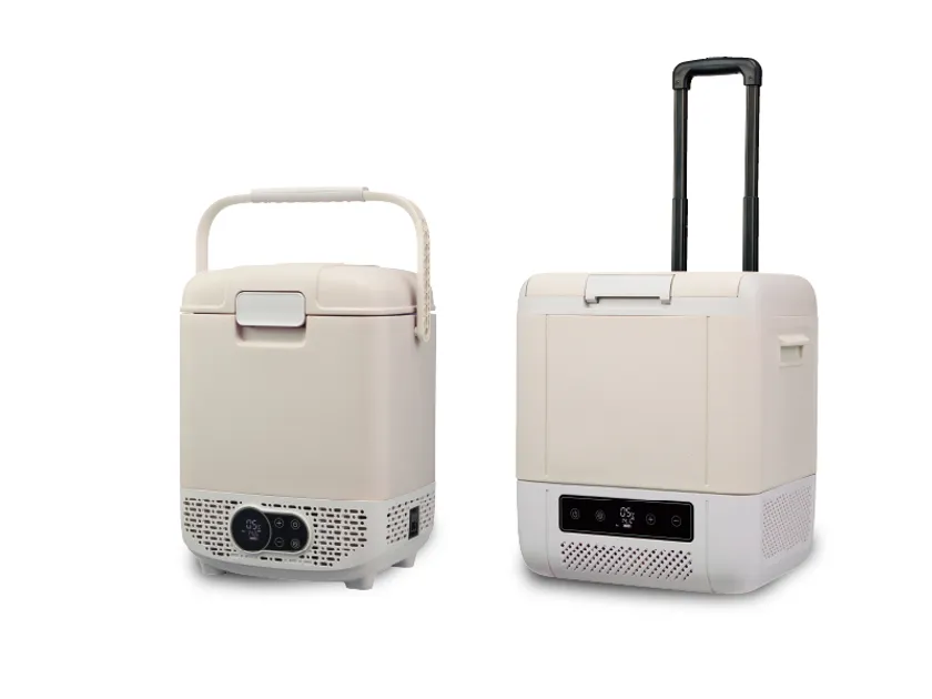 どこでも冷凍・冷蔵庫