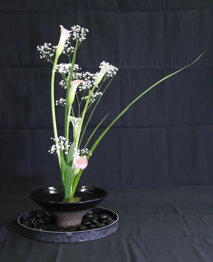 テーマ:まぼろし