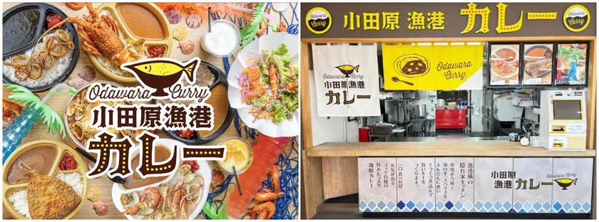小田原漁港カレーについて