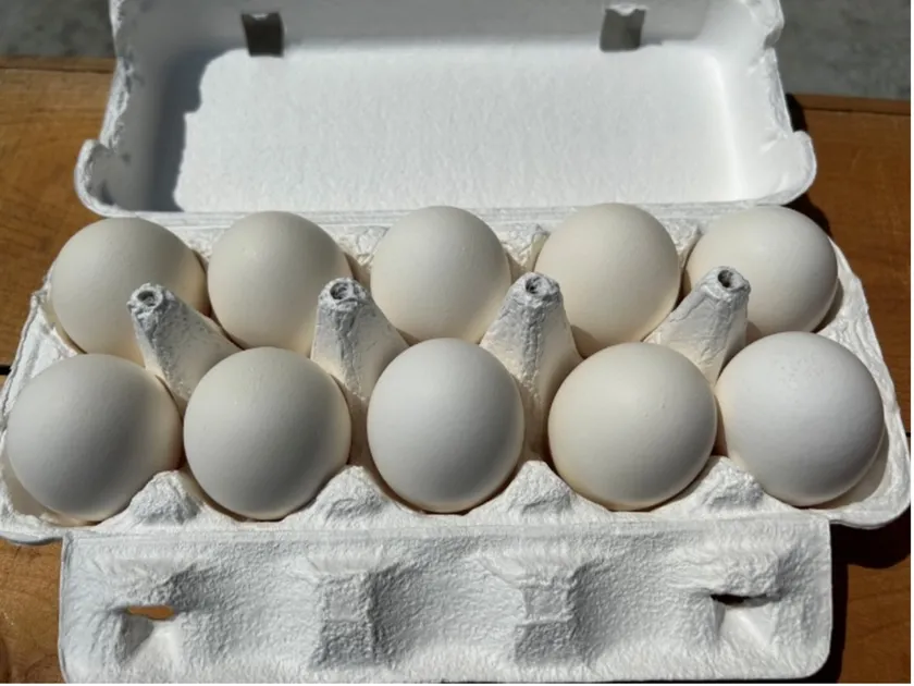 生産者さんの卵特売