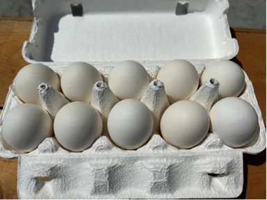 生産者さんの卵特売