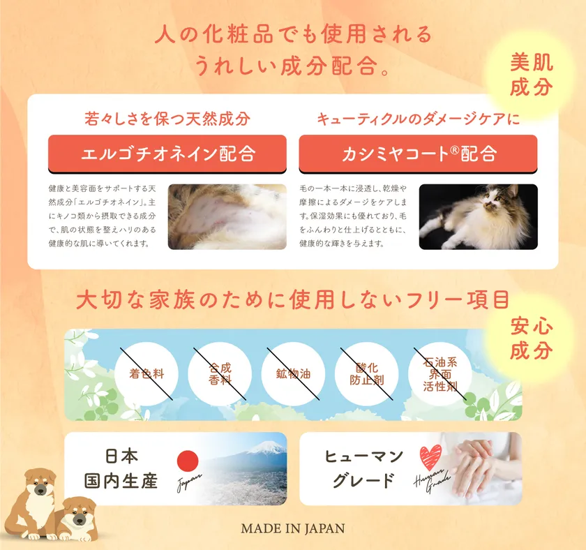 内容成分