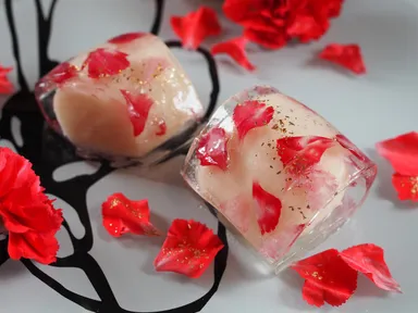 カーネーション(舞-MAI-)