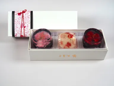 カーネーションボックス 3個セット