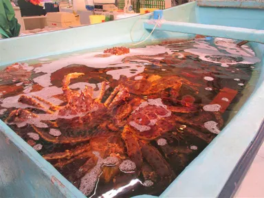 舟形水槽の蟹※イメージ