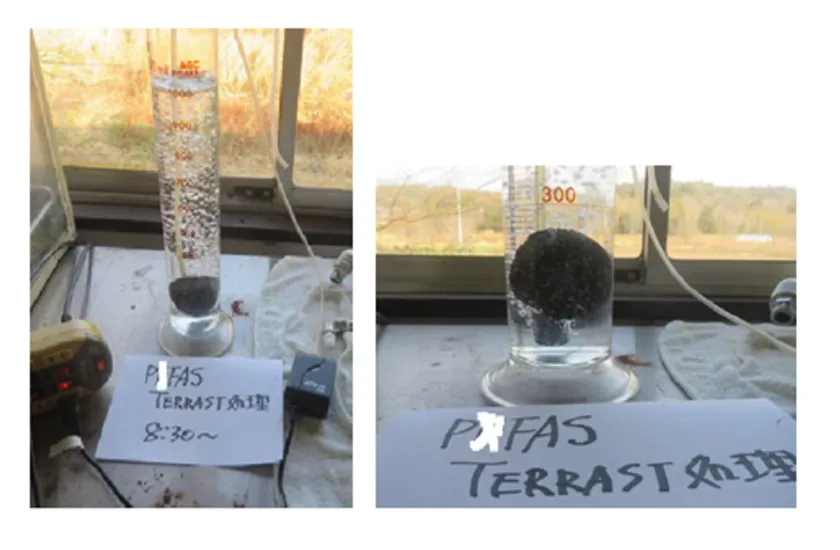 画像(3)TERRAST試験