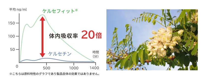 年齢とともに変化する日々に ケルセフィット(R)
