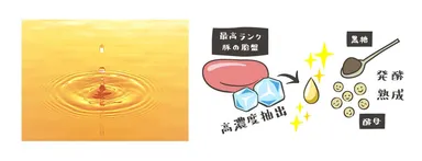 いつものキレイと健康を意識される方に　発酵熟成プラセンタ