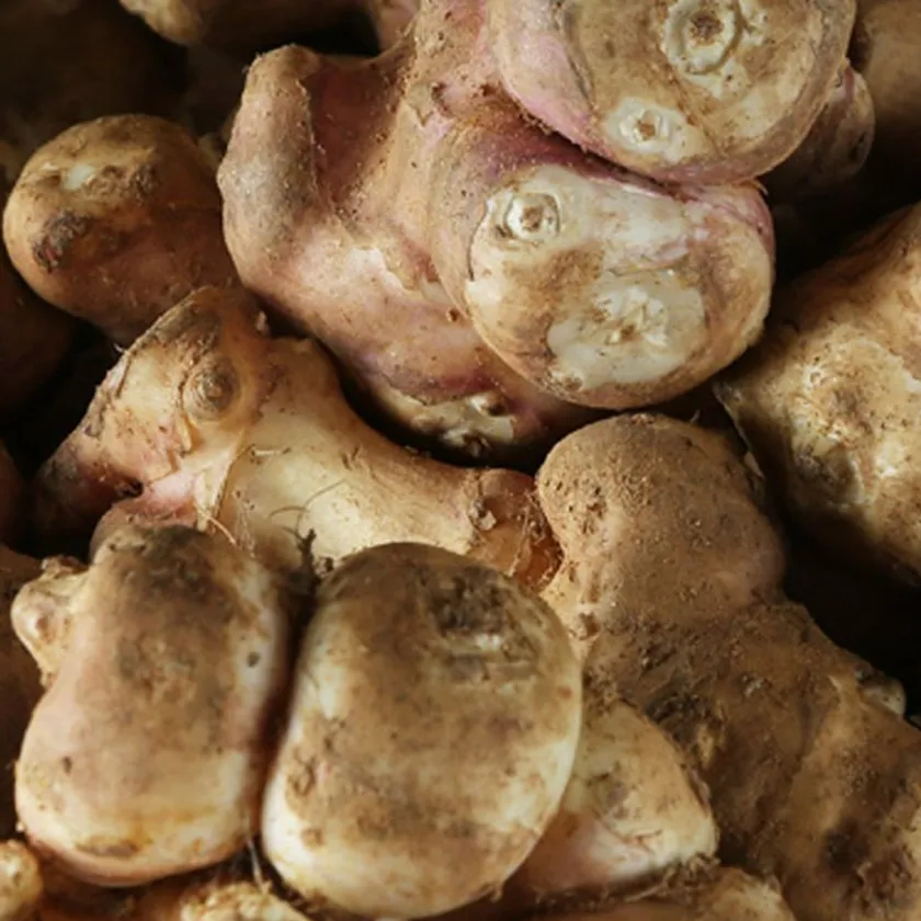 腸活菊芋ハニー濃縮シロップ:主な成分と特徴01