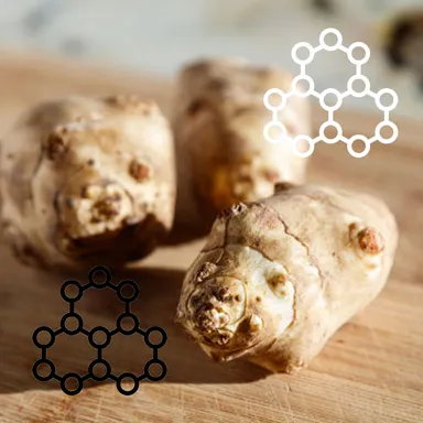 腸活菊芋ハニー濃縮シロップ：主な成分と特徴02