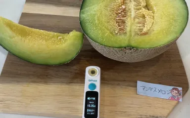 長洲さんのアンデスメロン