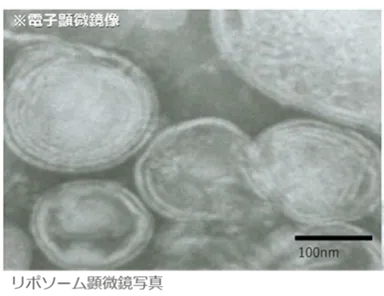 リポソーム