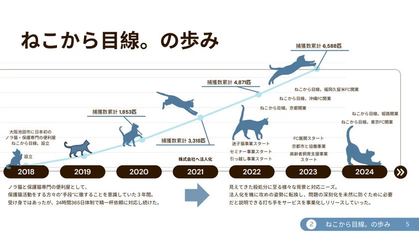ねこから目線。の歩み