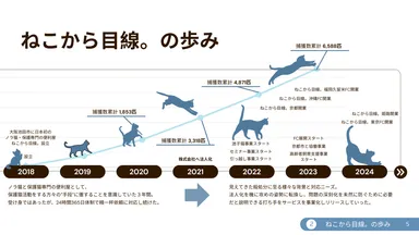 ねこから目線。の歩み