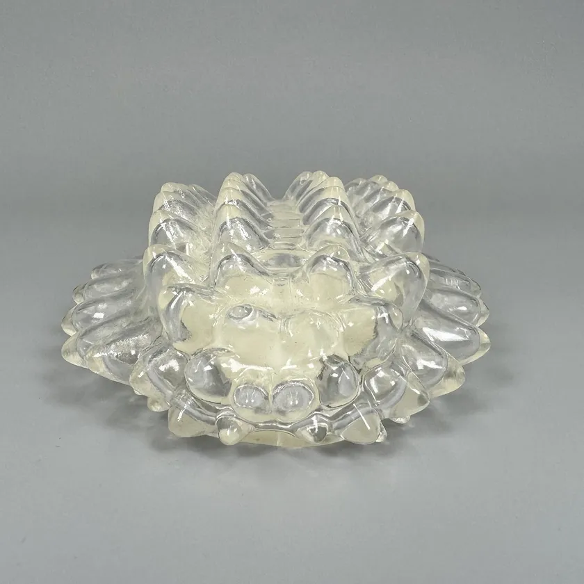 〈DIGBUG ジュエルキャタピラー【蓄光】_5〉