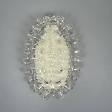 〈DIGBUG ジュエルキャタピラー【蓄光】_3〉