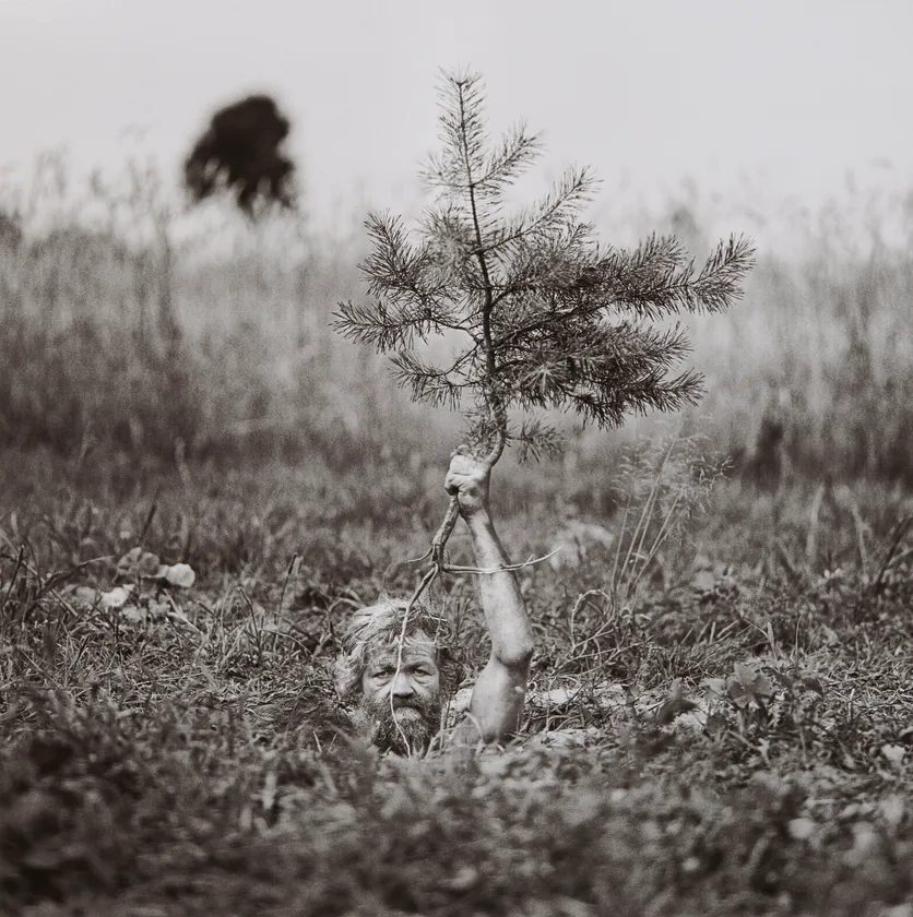 アダム・パンチュク《カルチェビー》2008年 (C) Adam Panczuk