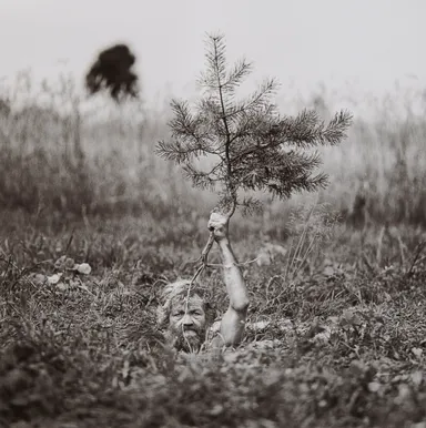 アダム・パンチュク《カルチェビー》2008年 (C) Adam Panczuk