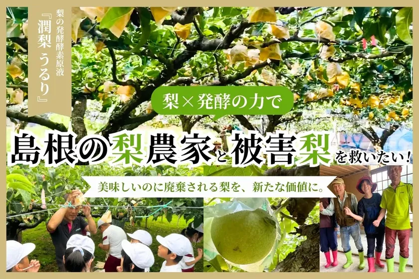 クラウドファンディング